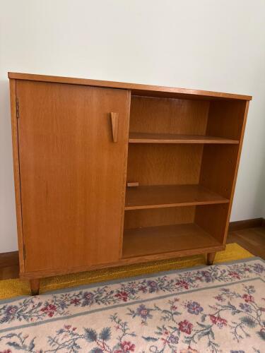 Mid-Century Modern-Style Wood Cabinet with Shelf and Door