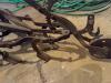 Antique Horse-Drawn Walk-Behind Cultivator - 2