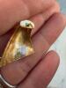 14K Gold Chain Necklace and Pair of Modernist Earrings - 5