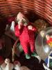Christmas Figurines, Ornaments, and Snow Globe Assortment - 2