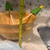 Assorted Glass Bowls, Plates, Canisters, and Wooden Salad Bowl - 8