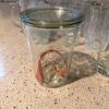 Assorted Drinking Glasses and Weck Jar - 2