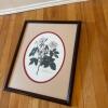 17.5" x 21.5" Framed Botanical Print - 4