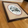 17.5" x 21.5" Framed Botanical Print - 5
