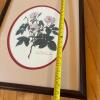 17.5" x 21.5" Framed Botanical Print - 8