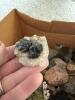 Assorted Mineral and Rock Specimens Collection - 12