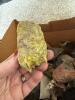 Assorted Mineral and Rock Specimens Collection - 16