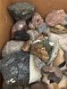 Assorted Mineral and Rock Specimens Collection - 18