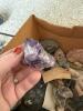 Assorted Mineral and Rock Specimens Collection - 22