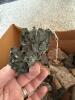 Assorted Mineral and Rock Specimens Collection - 23