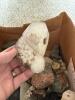 Assorted Mineral and Rock Specimens Collection - 30