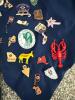 Lions Club New Hampshire Vest with Assorted Lapel Pins - 2