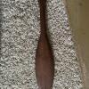 Assorted Military Uniform Items and Memorabilia, Early 20th Century - 3