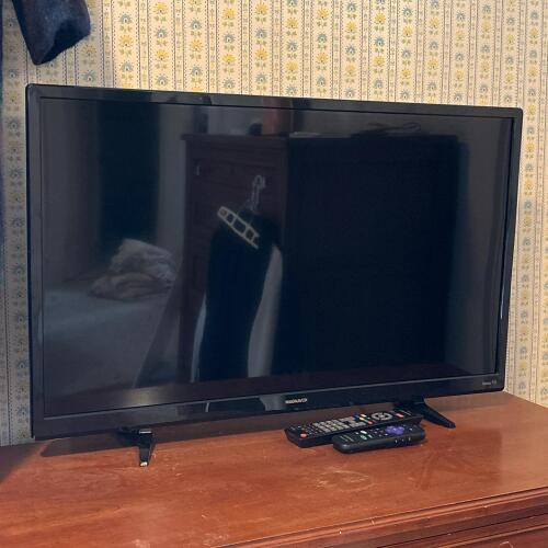 Magnavox 32" Roku TV with Remote Controls