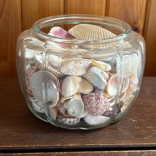 Glass Jar Filled With Mixed Seashells