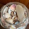 Glass Jar Filled With Mixed Seashells - 2