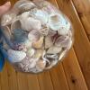 Glass Jar Filled With Mixed Seashells - 3