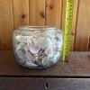 Glass Jar Filled With Mixed Seashells - 5