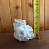 White Crystal Mineral Specimen - 5