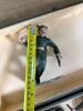 G.I. Joe Footlockers With Action Figures and Accessories - 3