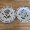 Portmeirion Botanic Garden and Pomona Botanical Pattern Plates - 6
