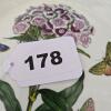 Portmeirion Botanic Garden and Pomona Botanical Pattern Plates - 8