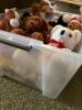 Plush Stuffed Animals and Teddy Bears Assortment - 2