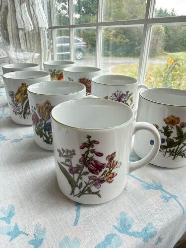 Bareuther Waldsassen Bavaria Germany Porcelain Mugs, Floral Motif - Set of 9