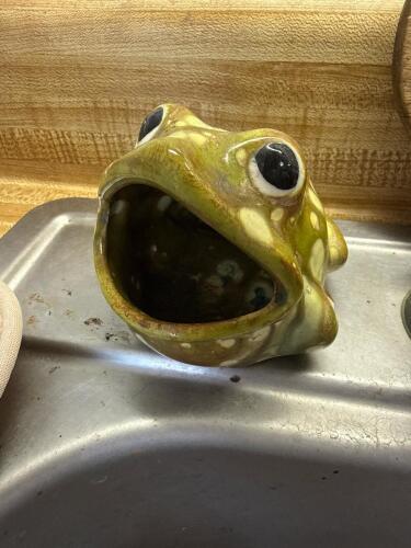 Ceramic Frog Sponge Holder in Mid-Century Style