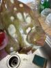 Ceramic Frog Sponge Holder in Mid-Century Style - 2