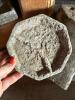 Group of Primitive Stone Carved Bowls and Slabs - 2