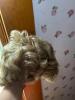 Feather Lite Blonde Wigs - 2