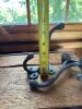Pair of Cast Iron Wall Hooks in Victorian Style - 4