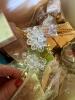 Assorted Miniature Figurines and Craft Materials - 17