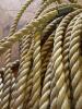 Twisted Polypropylene Rope Coil - 2
