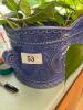 Le Jardin Suzanne Nicoll Windowbox Planter, with live healthy Pothos - 5