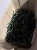 Miniature Green Wire Holiday String Lights - 2