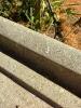 Concrete Bird Bath with Lily Pad - 9