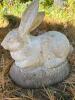 Concrete Garden Rabbit - 2