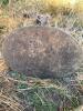 Concrete Garden Rabbit - 4