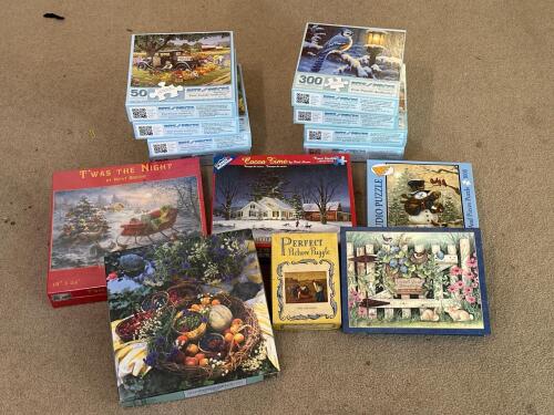 Assorted Jigsaw Puzzles by Bits and Pieces