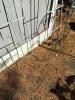 Garden Trellises, Wrought Iron and Wire Scrollwork - 3