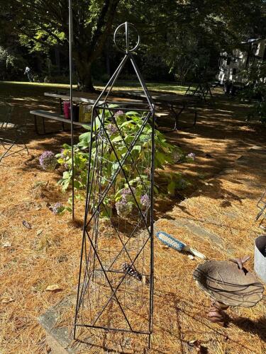 Metal Garden Obelisk Trellis Pyramid-Top Form