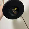 Brass-Tone Student-Style Table Lamp - 6