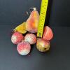 Radko Fruit Glass Christmas Ornaments Assortment - 9