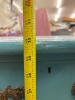 Antique Painted Wood Dresser - 11