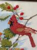 23" x 19" Framed Cardinal Cross Stitch Signed Marcia Daley - 2