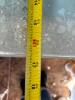 Antique Treadle Sewing Machine Base Table With Glass Top - 8
