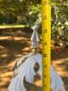 Ornate White Cast Iron Garden Plant Stand - 5