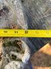 Concrete-like Hanging Bird Bath - 6